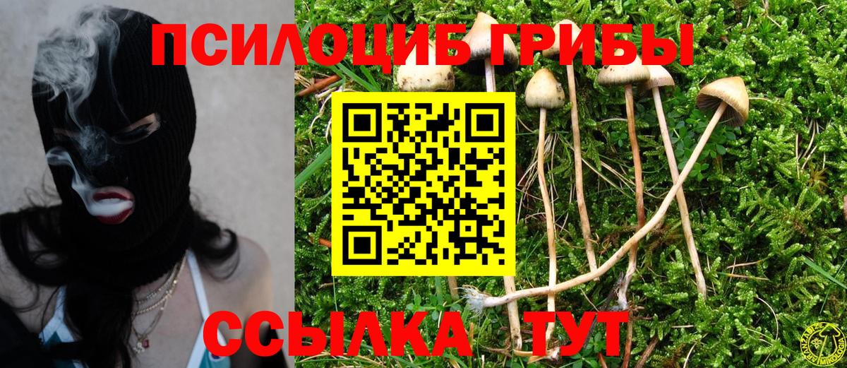 Галлюциногенные грибы Cubensis Каменск-Уральский